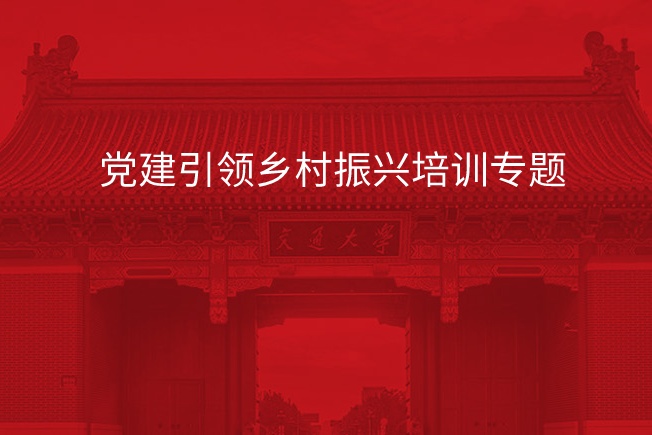 南京大学党建引领乡村振兴培训专题